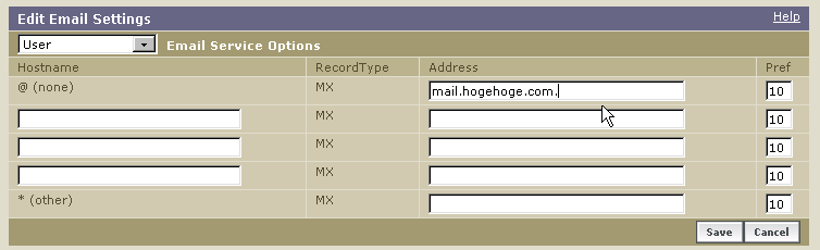 MXレコード設定画面